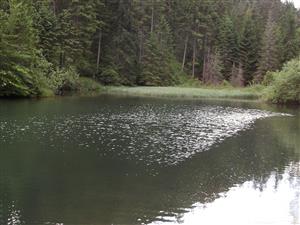 Klauzy - vodná nádrž