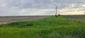 trasochvost biely (20.5.2026)