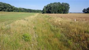 TML, vyschnutý kanál