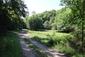 trasochvost biely (23.5.2026)