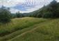 užovka stromová (24.6.2026)