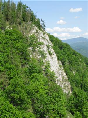 Skalná bralo s biotopmi druhu Pulsatilla subslavica (biotopy Al3 + Ls6.2).