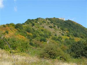 TMP1_TML_StenEura_001