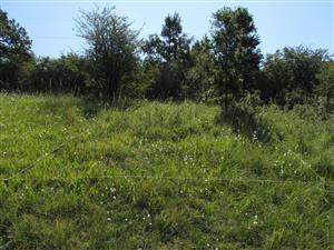 Záber na TMP (4 x 4 m)