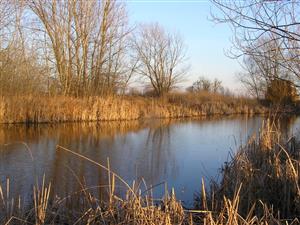 Pohľad na TML, časť - vonajšie jazierko, foto: 13.2.2014, J.Lengyel.