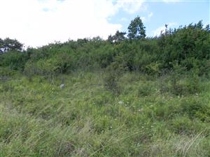 Habitat druhu