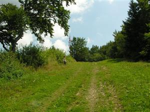 Habitat