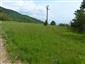 Suchomilné travinnobylinné a krovinové porasty na vápnitom podloží (*dôležité stanovištia Orchideaceae) (2.6.2015)