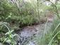 Prirodzené eutrofné a mezotrofné stojaté vody s vegetáciou plávajúcich a/alebo ponorených cievnatých rastlín typu Magnopotamion alebo Hydrocharition (24.6.2014)