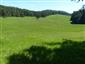 Nížinné a podhorské kosné lúky (4.6.2015)