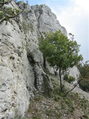 Ostrý kameň  - skalná stena