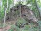 Silikátové skalné steny a svahy so štrbinovou vegetáciou (4.9.2013)