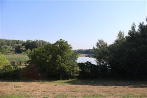 Pohľad na JV Číčovské rameno, TML, foto: 4.8.2026, J.Lengyel.
