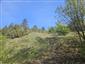 priadkovec trnkový (24.4.2026)