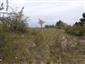 priadkovec trnkový (13.4.2026)