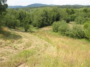 pohlad na celu lokalitu od západu