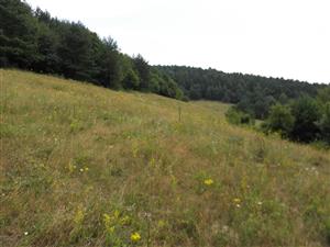 juzny okraj lokality