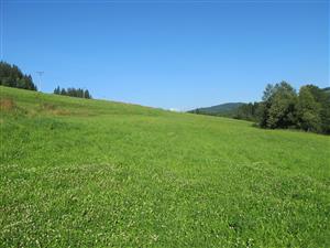 Intenzifikovana cast