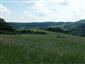 Nížinné a podhorské kosné lúky (29.5.2015)