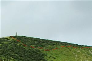 Pohľad pod vrchol Krížnej s časťou predmetného biotopu a naznačenou hranicou polygonu