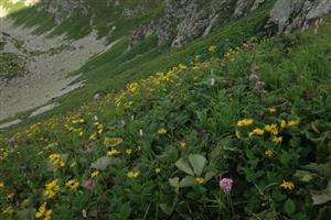 lokalita