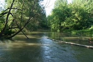 Fotografia zachytáva TML.