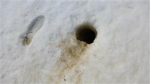 Pohľad na výhrab, 127 cm snehu