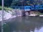 netopier veľkouchý (14.7.2015)