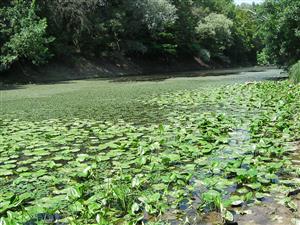 pohlad na lokalitu TML smerom na sever