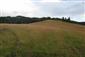 Nížinné a podhorské kosné lúky (9.7.2015)
