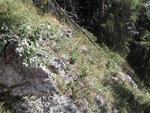 Sokolia dolina 