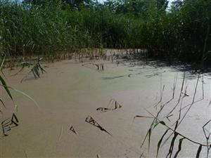 pohled z jižního okraje tuně