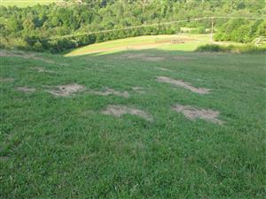 záber na TML, ktorá siaha po elektrické vedenie (za EV su košarované degradované časti lúky)