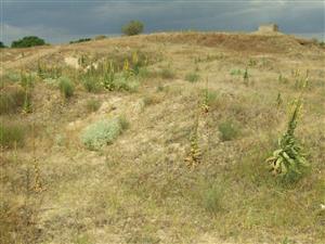 piesková duna pri ruine poľnohospodárskeho dvora