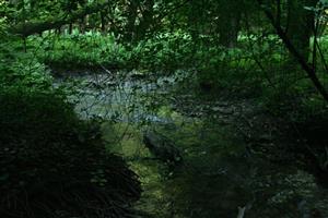 Fotografia zachytáva TML.