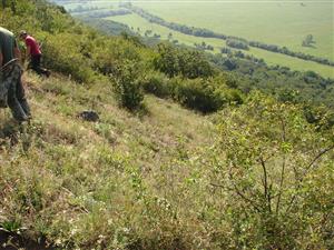TMP2_TML_StenEura_001