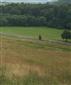 bystruška Zawadského (8.7.2015)
