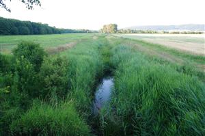 Rudava, Plavecký Peter, TMP 3