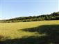 kobylka Štysova (21.7.2015)