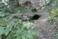 Výver potoka z Krásnohorskej jaskyne