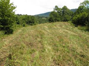 JZ kosena cast lokality