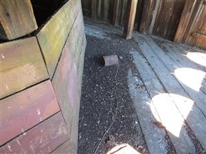 netopierí trus vo veži