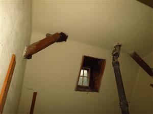 podkrovie s kolóniou Mema