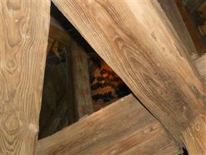 letná kolónia MMyo vo veži