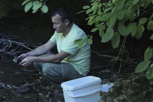 Vzorkovanie