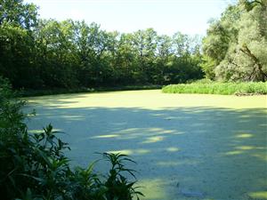 pohlad na lokalitu - smerom k ohybu ramena