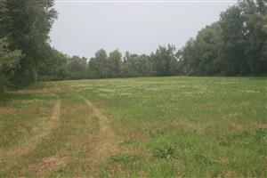 Celkový pohľad na lokalitu Drahňov s výskytom Lycaena dispar