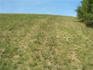 Pohľad na plochu TML