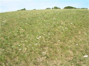 Pohľad na plochu TML