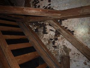 letná kolónia v podkroví kláštora